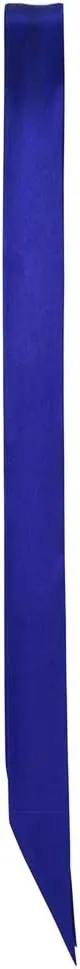 SilRiver Women's Silk Satin Skinny Scarf Long Necktie Sash Tie Headdress Fashion Accessories